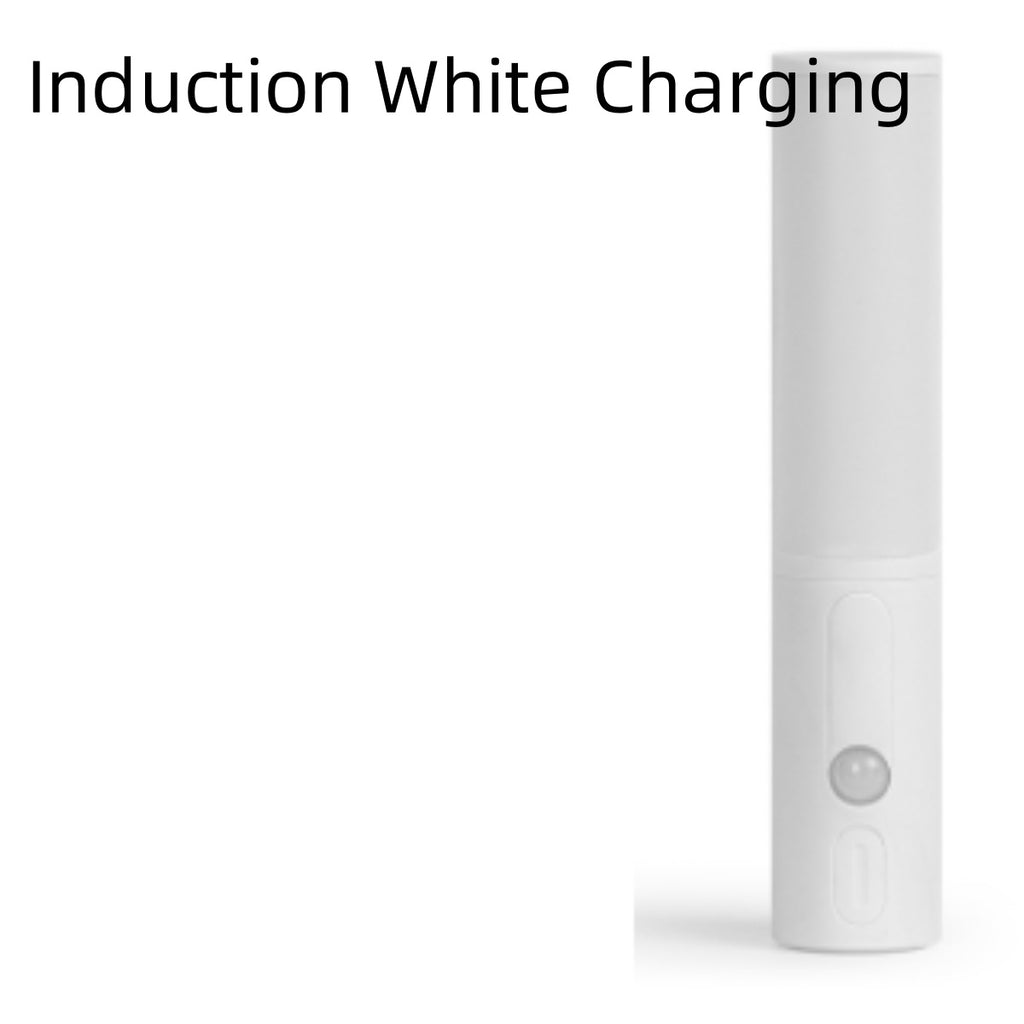 Lampe LED avec capteur de mouvement pour lit, cuisine, armoire et mur - Nouveau style et détection intelligente du corps